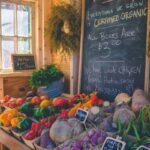 Herbal Teas: The Forgotten Skin Elixir Hiding in Your Pantry