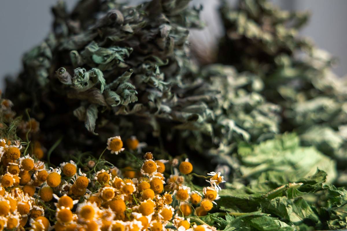 Aromatic Flavors: 7 Proven Ways to Avoid Costly Mistakes with Organic Herbs