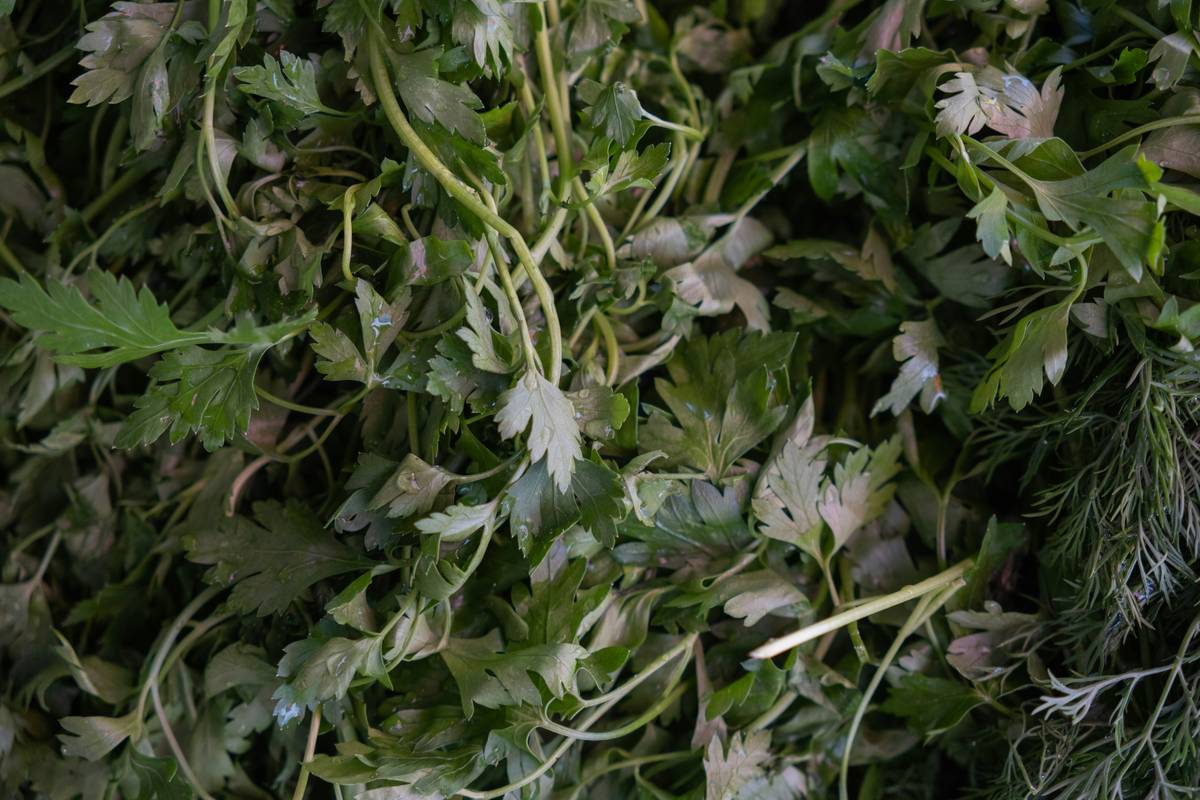 Dried organic herbs like rosemary, thyme, and lavender arranged on a wooden tray showcasing Aromatic Flavors