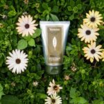 Medicinal Herb How to Become an: 7 Proven Steps to Avoid Costly Mistakes
